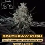 Southpaw Kush (Regular) - Second Generation Genetics