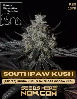 Southpaw Kush Cannabis Seeds featuring Pre(space)98 Bubba Kush and Dj Short Cocoa Kush