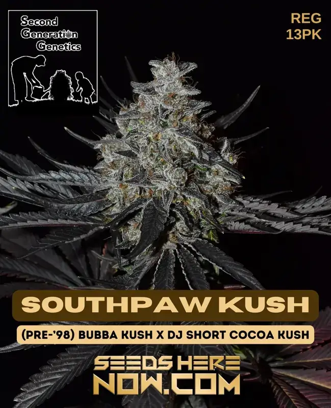 Southpaw Kush Cannabis Seeds featuring Pre-98 Bubba Kush and Dj Short Cocoa Kush