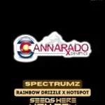 Spectrumz (Regular) - Cannarado Genetics
