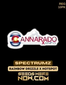 Spectrumz Regular Seeds featuring Rainbow Drizzle and Hotspot genetics by Cannarado