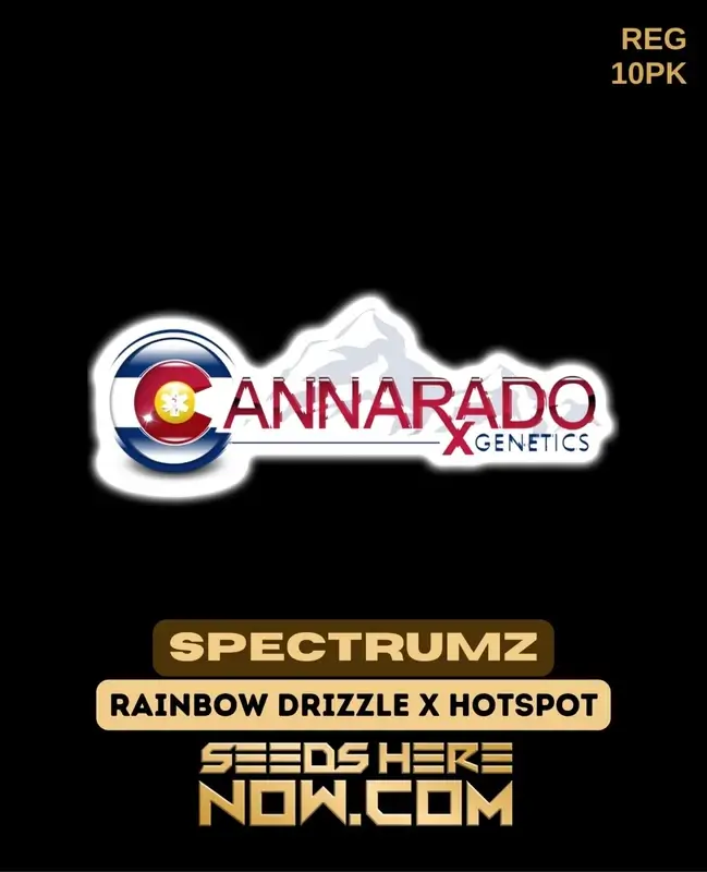 Spectrumz Regular Seeds featuring Rainbow Drizzle and Hotspot genetics by Cannarado
