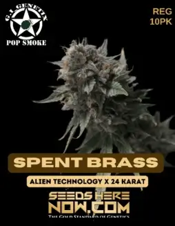 Spent Brass cannabis seeds by G.I. Genetix, featuring Alien Technology and 24 Karat lineage