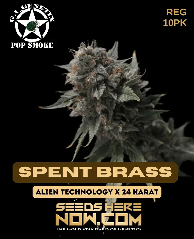 Spent Brass cannabis seeds by G.I. Genetix, featuring Alien Technology and 24 Karat lineage