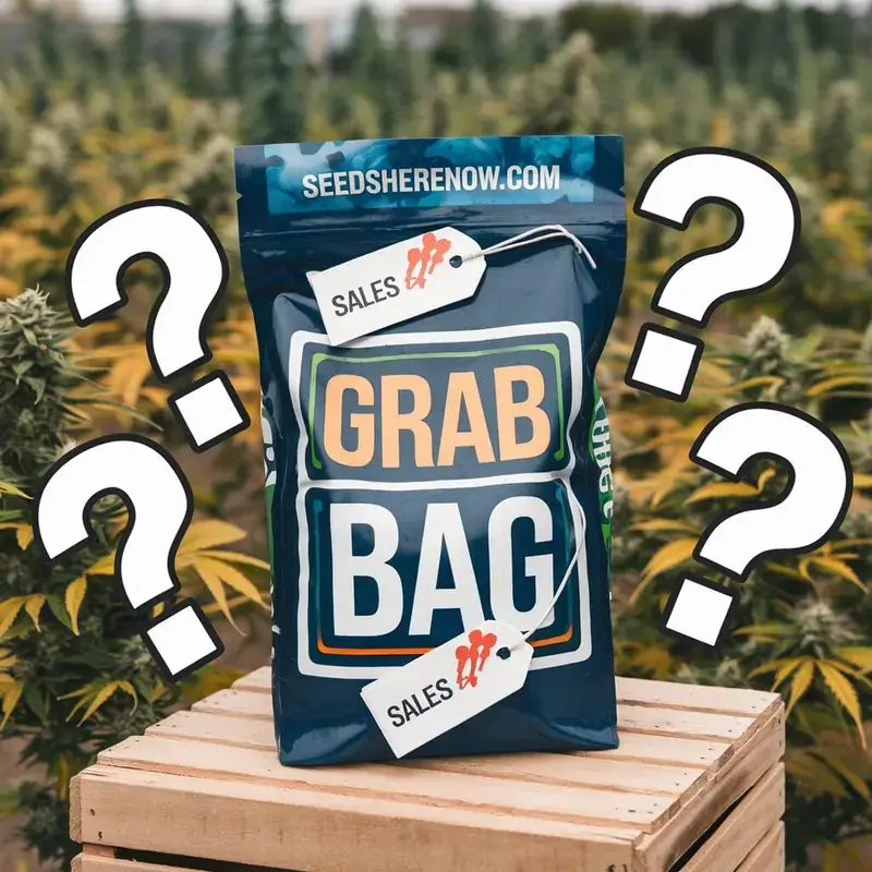 Mystery Grab Bag filled with cannabis gear and surprises from SHN