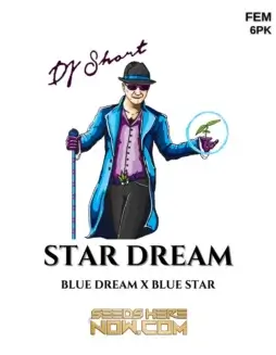 Star Dream Feminized Seeds (space) Cannabis strain by DJ Short Seeds/Blue Star Seeds featuring Blue Dream and Blue Star genetics