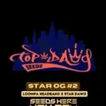 Star OG #2 (Regular) - Top Dawg Seeds
