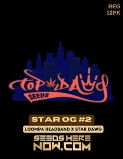 Star OG #2 cannabis seeds by Top Dawg Seeds featuring Loompa Headband x Star Dawg genetics, 60/40 Indica(space)dominant hybrid.