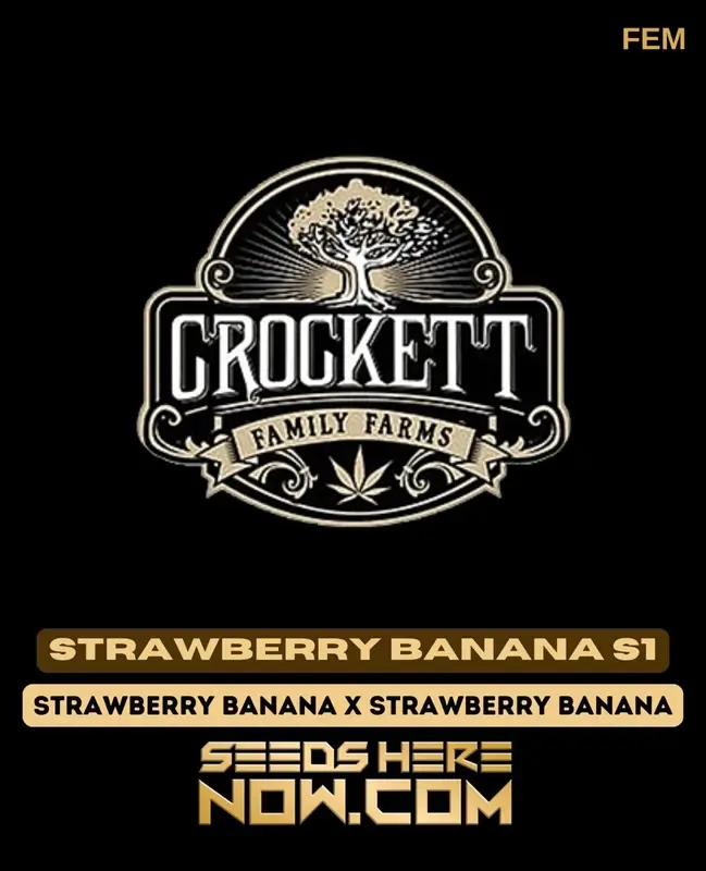 Strawberry Banana S1 Cannabis Seeds by Crockett Family Farms featuring sweet strawberry and creamy banana aromas