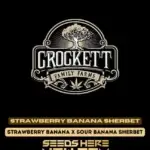 Strawberry Banana Sherbet (Feminized) - Crockett Family Farms