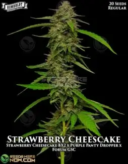 Strawberry Cheesecake regular cannabis seeds by Humboldt Seed Company, featuring ripe strawberry and creamy cheese flavors
