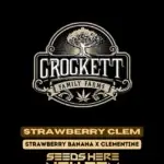 Strawberry Clem (Feminized) - Crockett Family Farms
