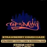 Strawberry Cough Haze (Regular) - Top Dawg Seeds