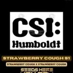 Strawberry Cough S1 (Feminized) - CSI Humboldt