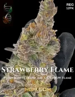 Strawberry Flame cannabis seeds by Green Fire Genetics, featuring Strawberry Cheesecake and Rainbow Flame genetics