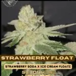 Strawberry Float (Feminized) - Super Seed Co.