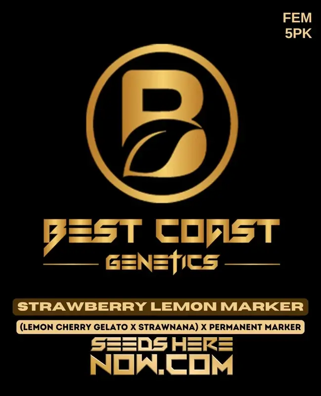 Strawberry Lemon Marker cannabis seeds in a packet - High THC Feminized Seeds by Best Coast Genetics