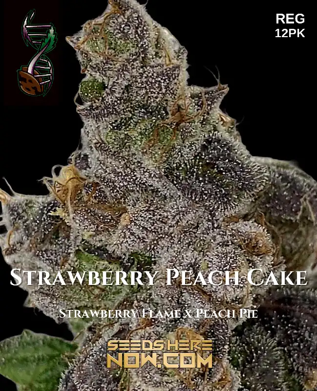 Strawberry Peach Cake cannabis seeds packaging by Green Fire Genetics