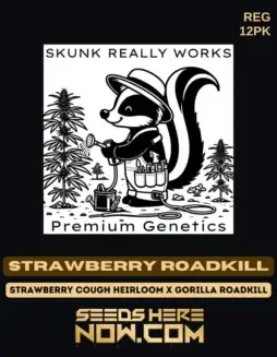 Strawberry Roadkill cannabis seeds by Skunk Really Works, showing a hybrid strain with 25% THC.