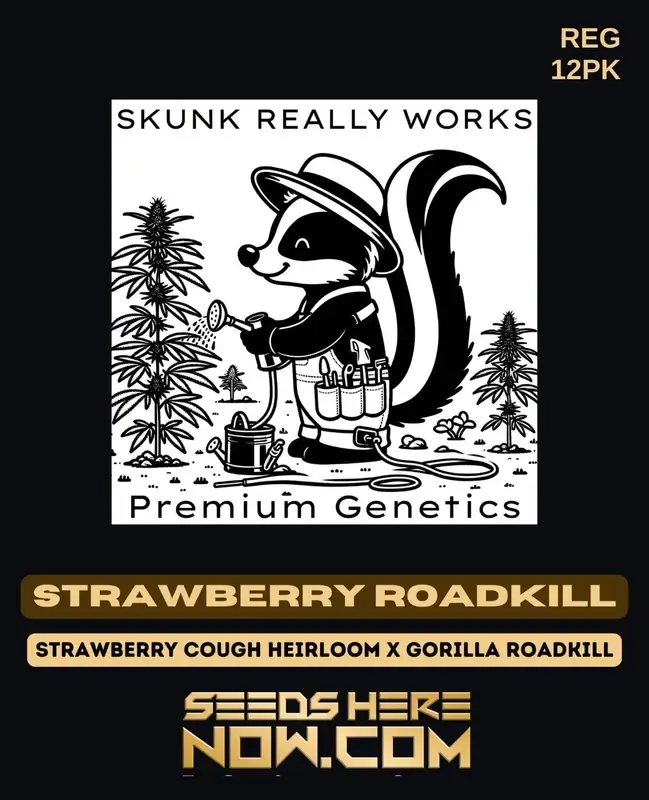 Strawberry Roadkill cannabis seeds by Skunk Really Works, showing a hybrid strain with 25% THC.