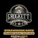 Strawnana (Autoflower) - Crockett Family Farms