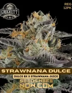 Crockett Family Farms Strawnana Dulce cannabis seeds, displaying strawberry and banana flavors