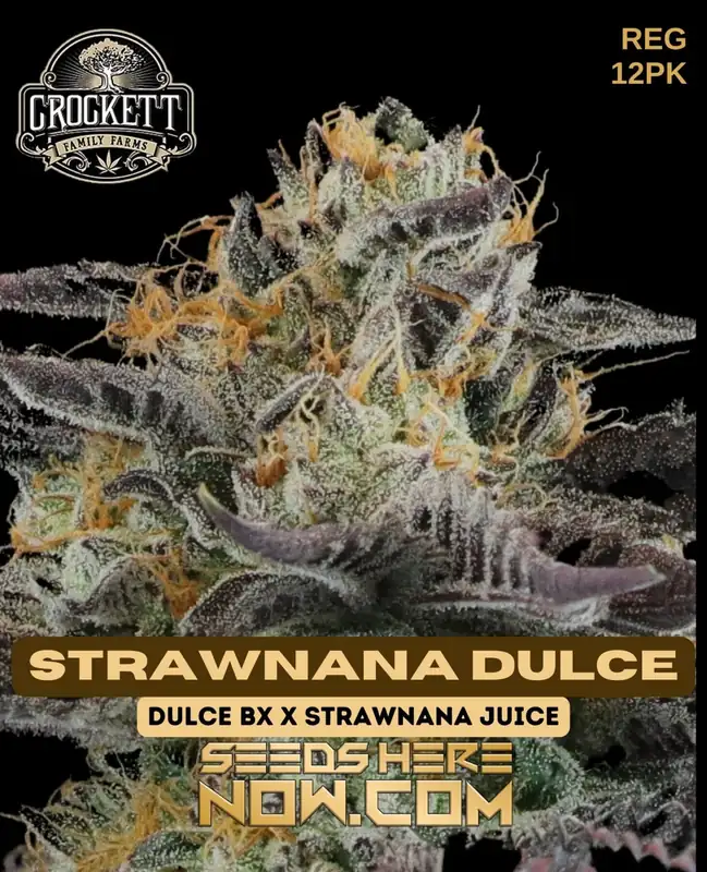 Crockett Family Farms Strawnana Dulce cannabis seeds, displaying strawberry and banana flavors