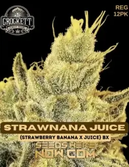Crockett Family Farms Strawnana Juice Regular Seeds (space) Strawberry Banana X Juice BX