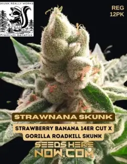 StrawNana Skunk Regular Cannabis Seeds by Skunk Really Works