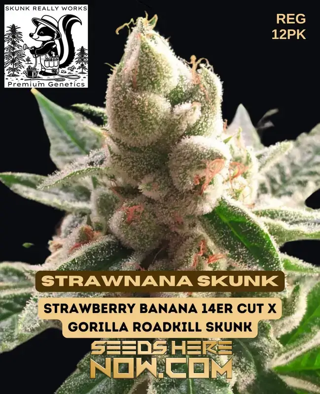 StrawNana Skunk Regular Cannabis Seeds by Skunk Really Works