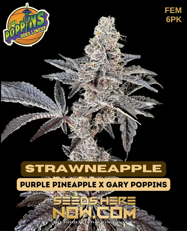 Strawneapple Feminized Seeds - Tropical Aroma with High THC
