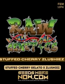 Stuffed Cherry Zlushiez Feminized Cannabis Seeds by Raw Genetics