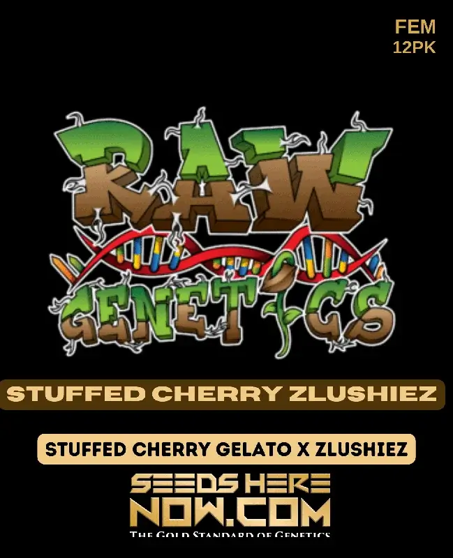 Stuffed Cherry Zlushiez Feminized Cannabis Seeds by Raw Genetics