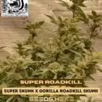 Super Roadkill (Regular) - Skunk Really Works