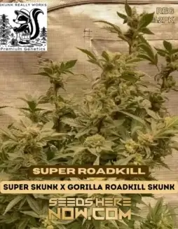 Super Roadkill cannabis seeds packaging (space) Indica Dominant Strain with 18(space)22% THC