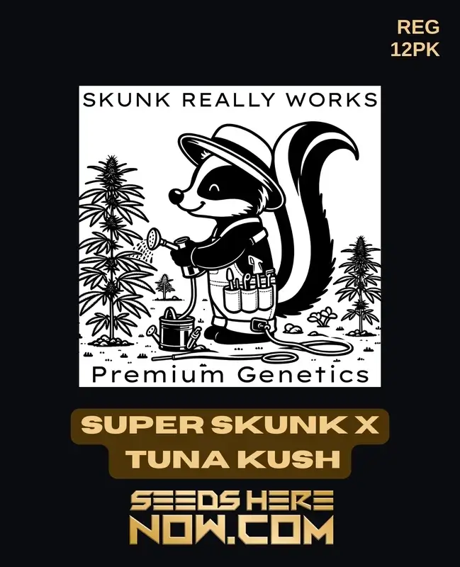 Super Skunk x Tuna Kush regular cannabis seeds in packaging