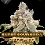 Super Sour Soda (Regular) - Super Seed Co.