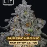 Superchronic (Feminized) - LIT Farms