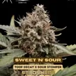 Sweet 'n' Sour (Autoflower) - Mephisto Genetics