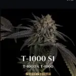 T - 1000 S1 (Feminized) - CSI Humboldt