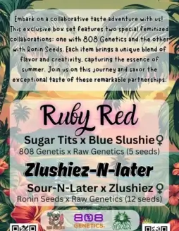 Taste Of Summer Box Set Seeds (space) Feminized Hybrid Cannabis by Raw Genetics