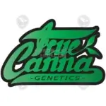 Terp Zookie (Regular) - True Canna Genetics