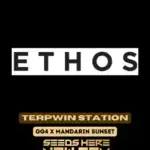 Terpwin Station (Feminized) - Ethos Genetics