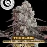 The Bling (Regular) - Happy Dreams Genetics