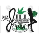The Flav (Regular) - Mz Jill Genetics