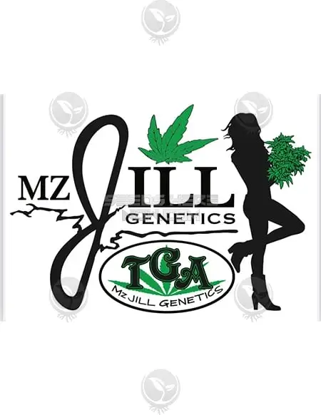 The Flav regular cannabis seeds by Mz Jill Genetics, featuring Peach Romulan and Space Queen genetics