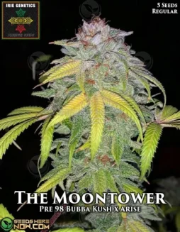 The MoonTower Cannabis Seeds pack by Irie Genetics featuring Pre(space)98 Bubba Kush x Arise