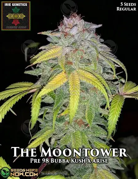 The MoonTower Cannabis Seeds pack by Irie Genetics featuring Pre-98 Bubba Kush x Arise