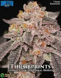 Thumbprints Feminized Seeds (space) Sweet and Earthy Indica(space)dominant Strain