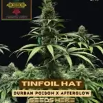 Tinfoil Hat (Feminized) - Irie Genetics